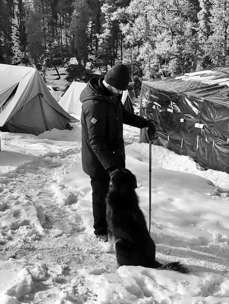 about section picture of a digital marketing expert in calicut kerala